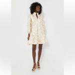 Tuckernuck NWT Palmerston Dress Small Champagne Gold Fil Coupé Tiered Midi Party Photo 4