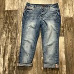 Jag jeans  Light Blue Boyfriend Jeans Size 12P Photo 1