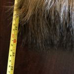 Jack by BB Dakota  Orange and Black Label Photo 1