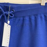 Negative Underwear Club Jogger in Royal, Size Small Photo 5
