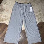 Athleta  Silver Echo Wide Leg Cropped Trousers spring NWT $108 athletic active Photo 4