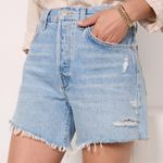 AGOLDE Cutoff Denim Shorts Photo 0