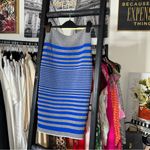 Alexander Wang Blue & Grey Striped Bodycon Knit Pencil Skirt Photo 1
