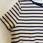 LRL Navy Blue & Cream Striped Short Sleeve Peplum Hem Top Sz 1X Cotton Photo 2