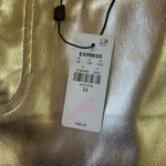 EXPRESS Silver Metallic Leather Pants Photo 3