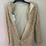 RETROFÊTE‎ Nikki Sequin Long Sleeve Minidress in Sea Shell Size Small NWT Tan Photo 12