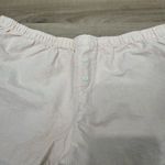 Brandy Melville John Galt shorts! Photo 1