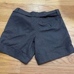 The Limited Shorts Photo 3