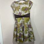 Floreat Anthropologie Travessia Tulle Under Skirt Embroidered Fit & Flare Dress Green Size 4 Photo 3
