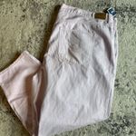 American Eagle Lilac Mom Jeans Woman's Size 24 Photo 1