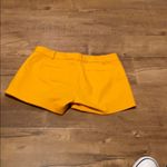 Michael Kors  Shorts Mustard Yellow Gold Photo 3