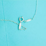 Tiffany & Co. Elsa Peretti 2 Carat Faceted Pendant Necklace Sterling Silver 16” Photo 5