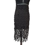 Bardot  Kara Lace Halter Midi Dress Backless Party Sheath Sheer Gemma LBD Size 6 Photo 8