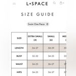 l*space NWT L* Shimmer Rumi One Piece Swimsuit Photo 7