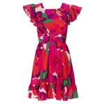 MISA Los Angeles  Floral Print Ruffle Sleeve Square Neck Mini Dress Size S Photo 2