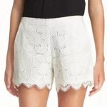 Trina Turk [] Cece White Lace Eyelet Scalloped Hem Mid Rise Shorts Bridal Size 4 Photo 0