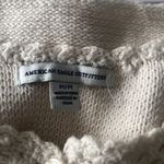 American Eagle Outfitters Crochet Cropped Tank Photo 1
