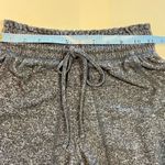 Aerie Lightweight Fleece Jogger Photo 2