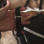 Rebecca Minkoff Black Black Small Vanity Saddle in Black 100% Authentic leather Photo 13