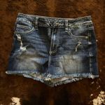 Cello Shorts Photo 0