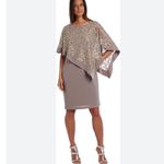 Sequin Lace Overlay Dress Elegant Party Cocktail Special Occasion Tan Size 10 Photo 4