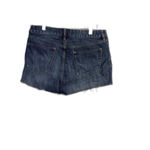 PacSun LA Mid Rise Shorts Size 29 Button Fly Frayed Cut offs Photo 1