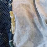 Dress Barn  Blue Hawaiian Tropical Casual Dress XL Photo 7