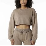 Alphalete  Women's Terry Oversized Crop Pullover - Smockey Quartz , Size Small Photo 0