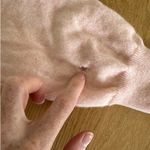 Lingua Franca Photo 1