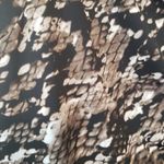 Dana Buchman  Dress Photo 1