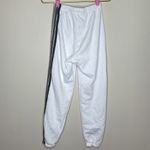 Aviator Nation  5 Stripe Sweatpant Photo 5