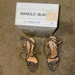 Manolo Blahnik Heels Photo 3