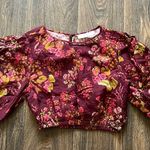 Peony Renaissance Vacation Crop Photo 1