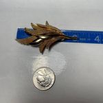 Smooth & Shiny Textured Willow Leaves Gold Tone Brooch Photo 2