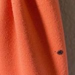 Juicy Couture sundress Photo 2