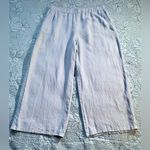 Eileen Fisher  Organic Linen Wide Leg Pull-On Pants – Light Silver Blue Sz L💛 Photo 1