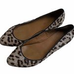Madewell Calf Hair Pointed Flat Shoes Sz 7 Photo 3