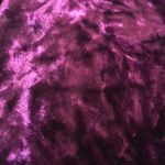 Love j FINAL MARKDOWN Ladies’ Lovely J crushed Velour Leggings (L) Photo 5