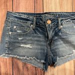 American Eagle  Ripped Jean Shorts Photo 1