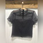 ZARA  Short Ruffle Sleeve sheer top lined bottom blouse Sz s EUC Goth grunge Photo 1