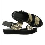 Vince 'Marett' Python Snakeskin Black White LEATHER Platform Size 7M Photo 2