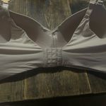 Torrid  Size 46DDD Beige Dream Wire Free Push Up Bra Photo 6