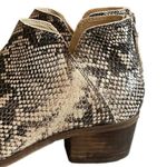 Dolce Vita Women’s Bootie Karsen Back Zip Faux Snakeskin Pointed Toe Size 8M Gray Photo 7
