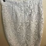 Banana Republic  | White Lace Crochet Lined Pencil Skirt Size 4 Photo 0