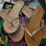 American Eagle Outfitters Brown and Gold Sandals bundle Photo 0