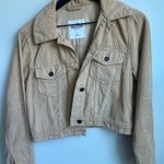 Hollister  Beige Knit‎ Sweater Photo 9