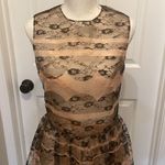 Red Valentino Sleeveless Lace Embroidered Dress Photo 3