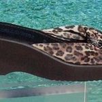 Donald Pliner Elastic Mesh Sandal Wedge Shoe New Flexible Non Slip Sole $220 NIB Photo 4