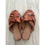 Top Shop Hop Cross Slide Snakeskin Sandals Orange 8 Photo 1
