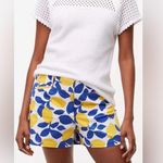 Loft  The Riviera Lemons High Waist Blue and Yellow 4” Shorts Photo 0